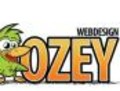 Ozey Webdesign